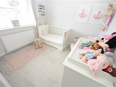Picture 15